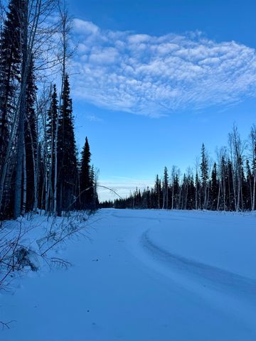 1958 TIMBER TRAIL, North Pole, AK 99705