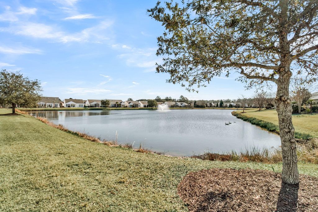 Image 29 of property listing at 406 Waterlily Way, Summerville, SC 29486