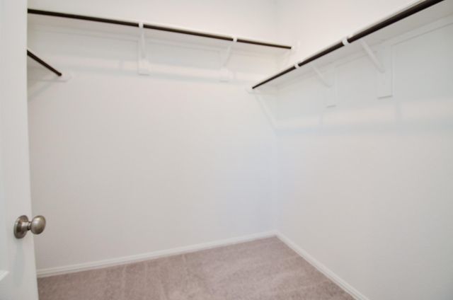 7919 Royal Palm Drive, Fulshear, TX 77441