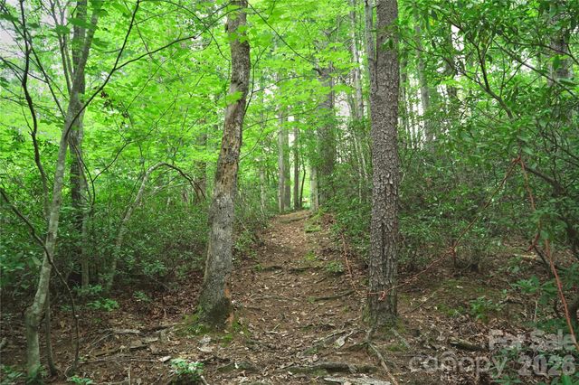 3 South Pointe Road, Mill Spring, NC 28756