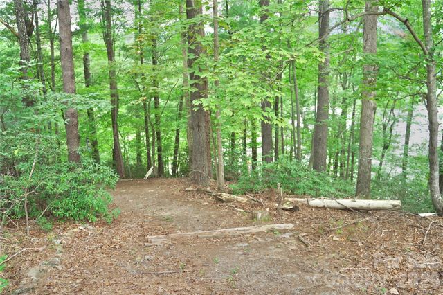 3 South Pointe Road, Mill Spring, NC 28756