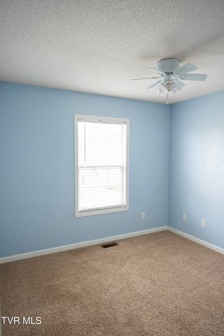 30 Thelma Hannabas Lane, Jonesborough, TN 37659