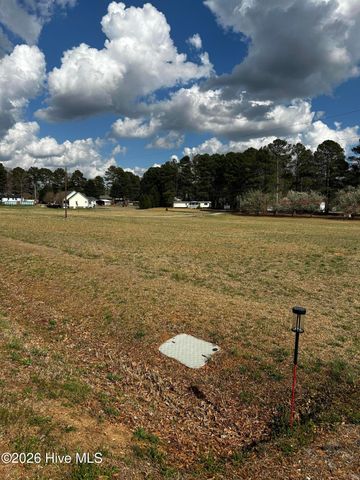 954 Blue Pond Road, Clayton, NC 27520