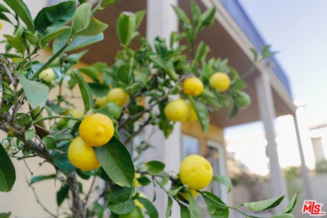 5338 Via Dolores, Newbury Park (thousand Oaks), CA 91320