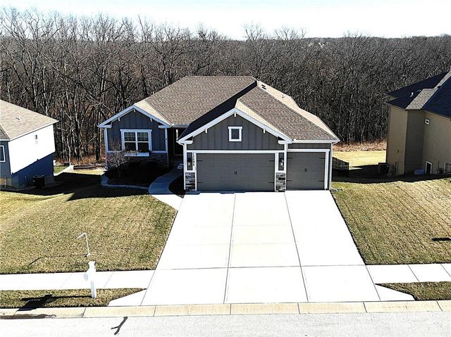 13295 N Silver Ridge Drive, Platte City, MO 64079