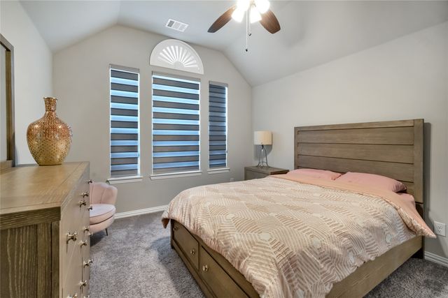 11713 Vista Meadow Lane, Frisco, TX 75035