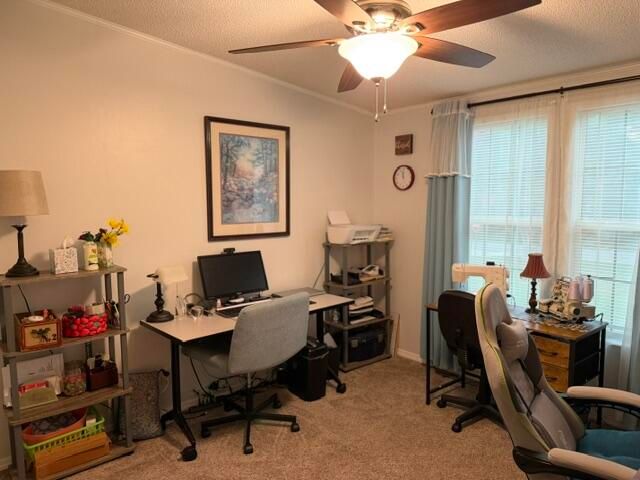 1246 Little John Road, Manning, SC 29102