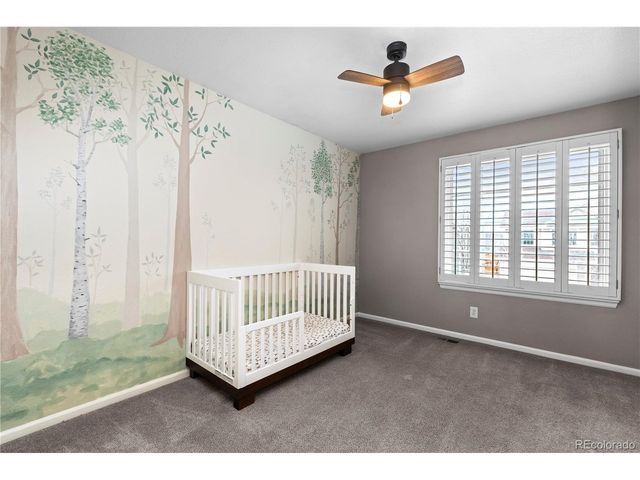 653 Fairhaven St, Castle Rock, CO 80104