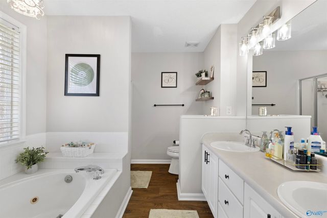 1203 Palisade Court, Decatur, AL 35603