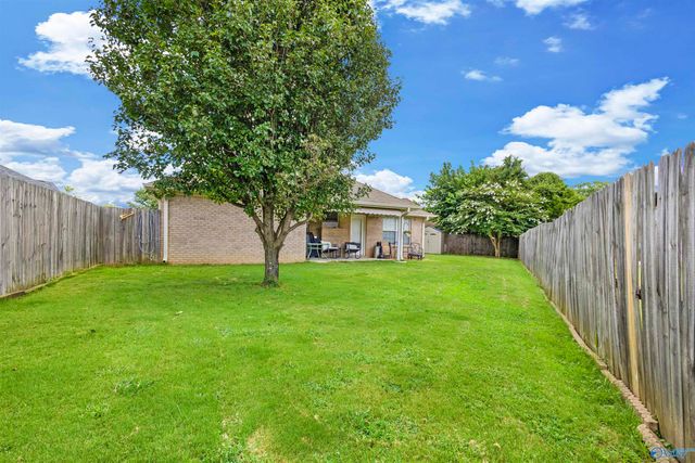 1203 Palisade Court, Decatur, AL 35603