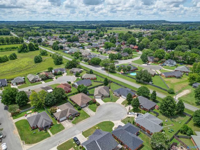 1203 Palisade Court, Decatur, AL 35603