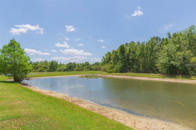 26902 JUNIPER BAY DRIVE, Wesley Chapel, FL 33544