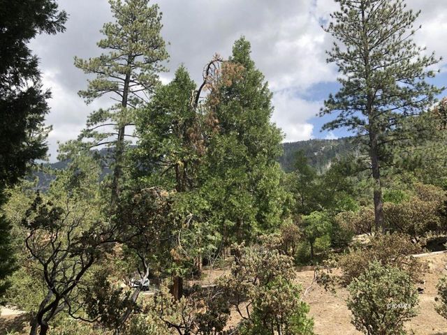 54751 Wildwood Drive, Idyllwild, CA 92549