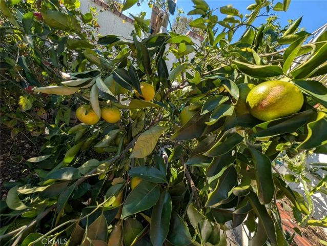 1945 Cumberland, West Covina, CA 91792