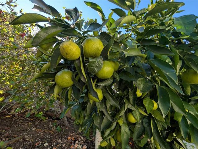 1945 Cumberland, West Covina, CA 91792