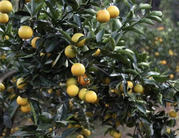 1945 Cumberland, West Covina, CA 91792