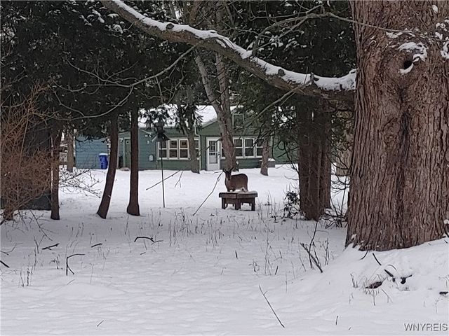 4750 Schurr Road, Clarence, NY 14031