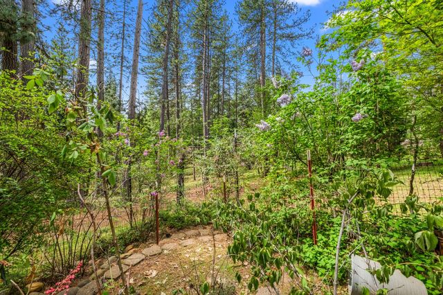 4061 Pacific Crest Ct, Placerville, CA 95667