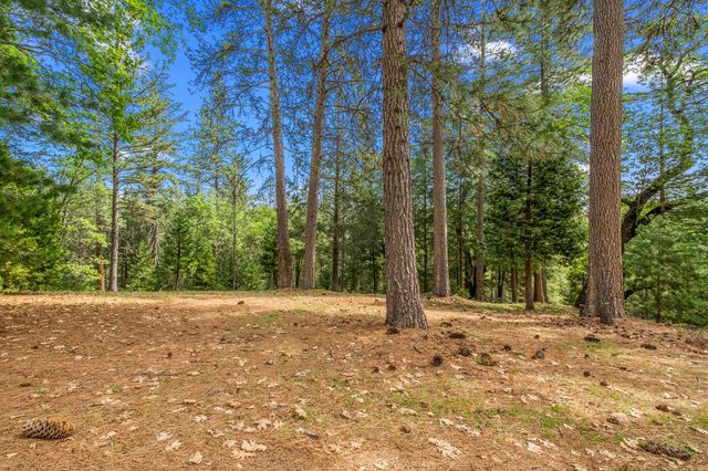 4061 Pacific Crest Ct, Placerville, CA 95667