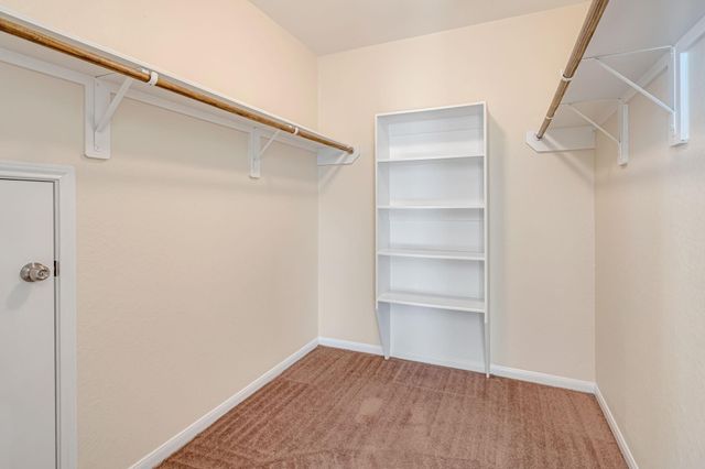 16707 Lark Bunting Lane, Conroe, TX 77385