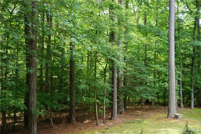 13315 Meredith Pointe Way, Chesterfield, VA 23832