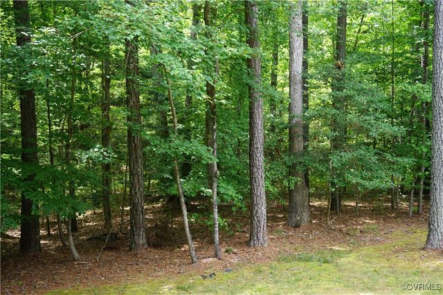 13315 Meredith Pointe Way, Chesterfield, VA 23832