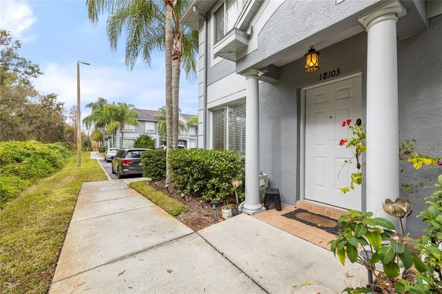 18103 PARADISE POINT DRIVE, Tampa, FL 33647