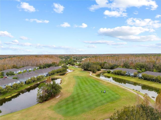 18103 PARADISE POINT DRIVE, Tampa, FL 33647