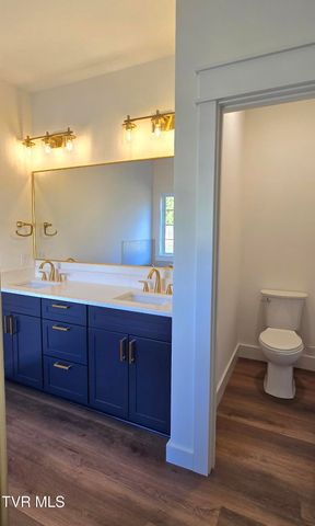 444 Wyndham Drive, Johnson City, TN 37615