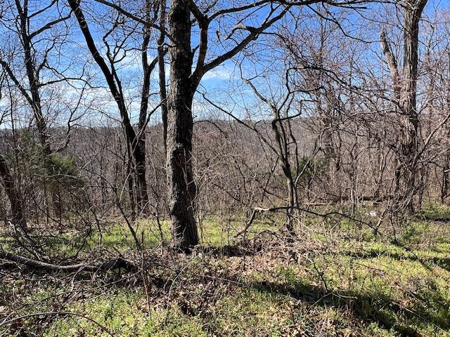 85 Mercury Lane, Holiday Island, AR 72631