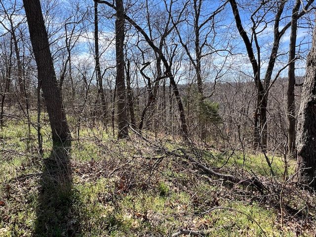 85 Mercury Lane, Holiday Island, AR 72631