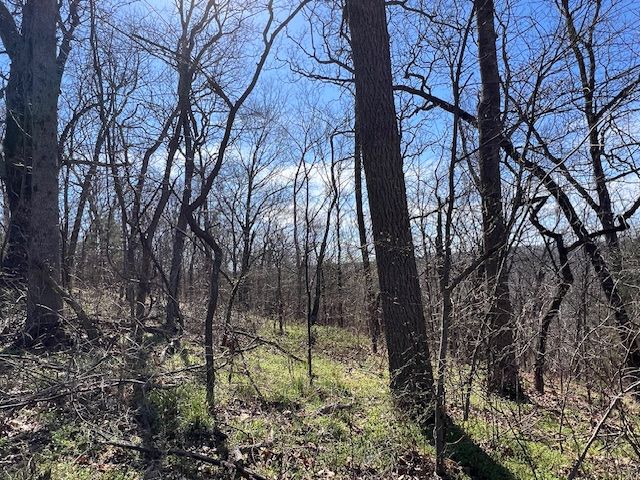 85 Mercury Lane, Holiday Island, AR 72631