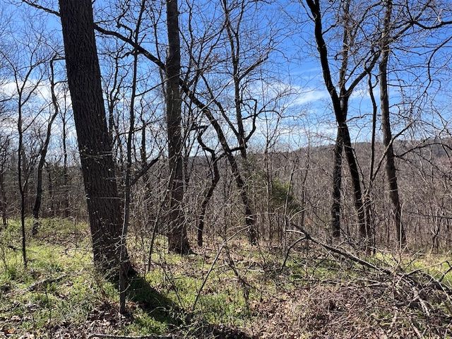 85 Mercury Lane, Holiday Island, AR 72631