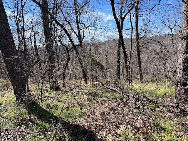 85 Mercury Lane, Holiday Island, AR 72631