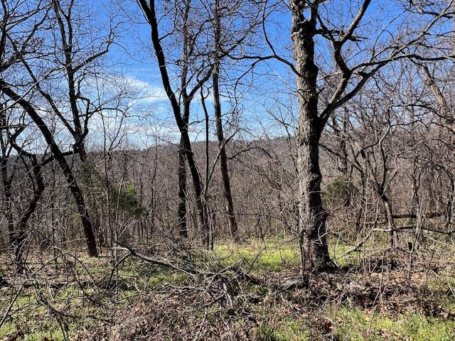 85 Mercury Lane, Holiday Island, AR 72631