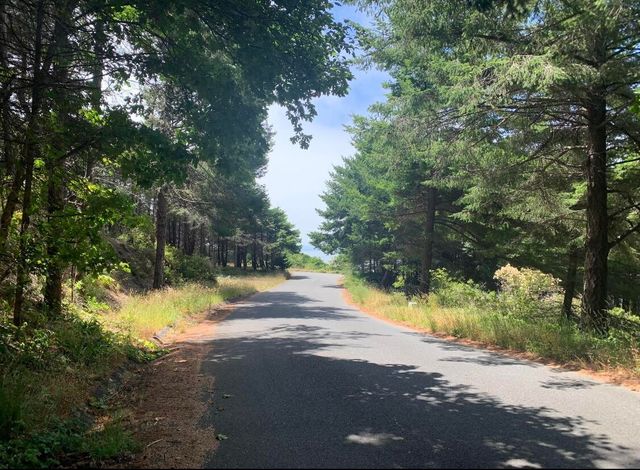 87 Tern Road, Whitethorn, CA 95589