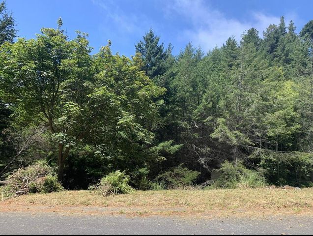 87 Tern Road, Whitethorn, CA 95589