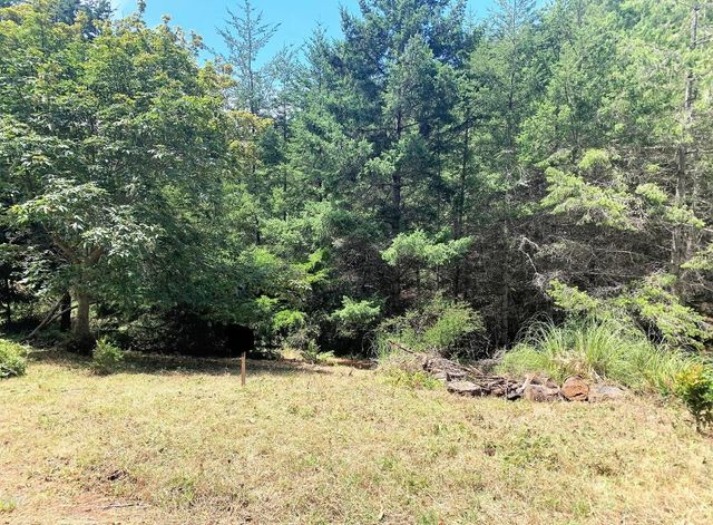 87 Tern Road, Whitethorn, CA 95589