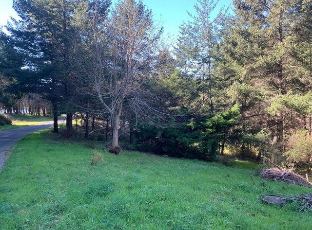 87 Tern Road, Whitethorn, CA 95589