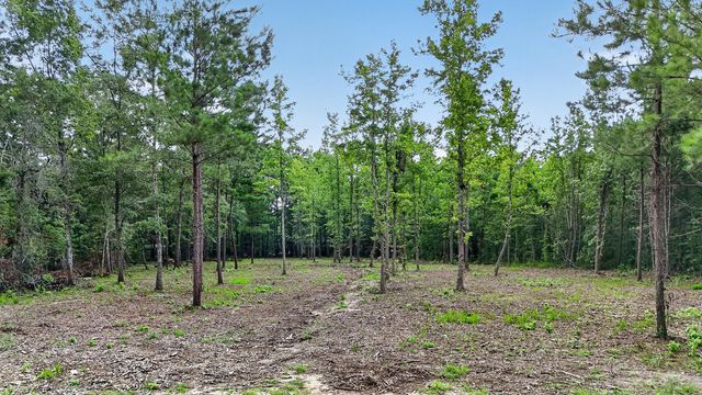 0 Victoria Road C, Summerville, SC 29483