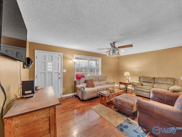 722 Brummel Ave, Bridgeport, AL 35740