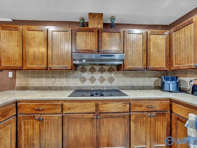 722 Brummel Ave, Bridgeport, AL 35740