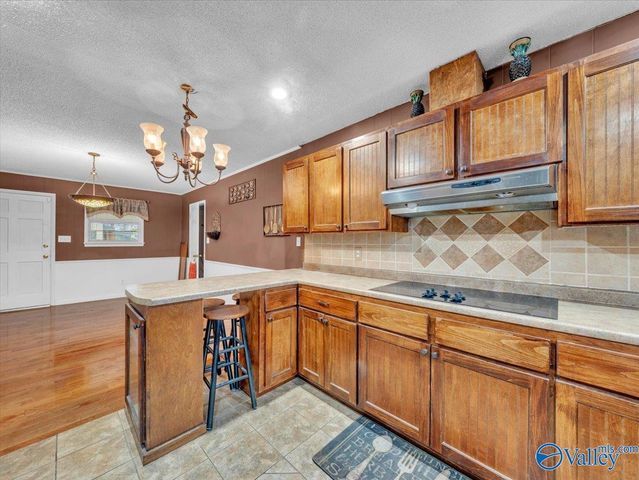 722 Brummel Ave, Bridgeport, AL 35740