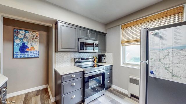 11820 Edgewater Drive 110, Lakewood, OH 44107