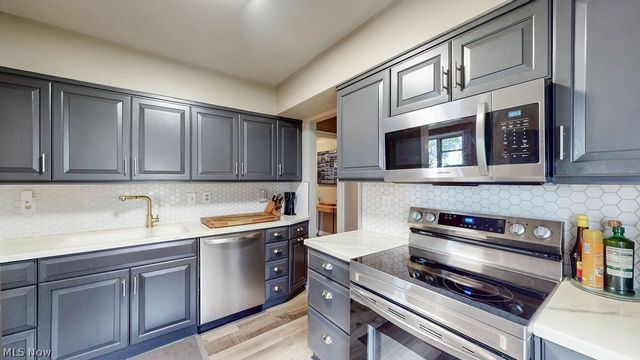 11820 Edgewater Drive 110, Lakewood, OH 44107