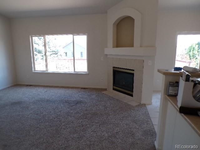 21690 Mount Elbert Place, Parker, CO 80138