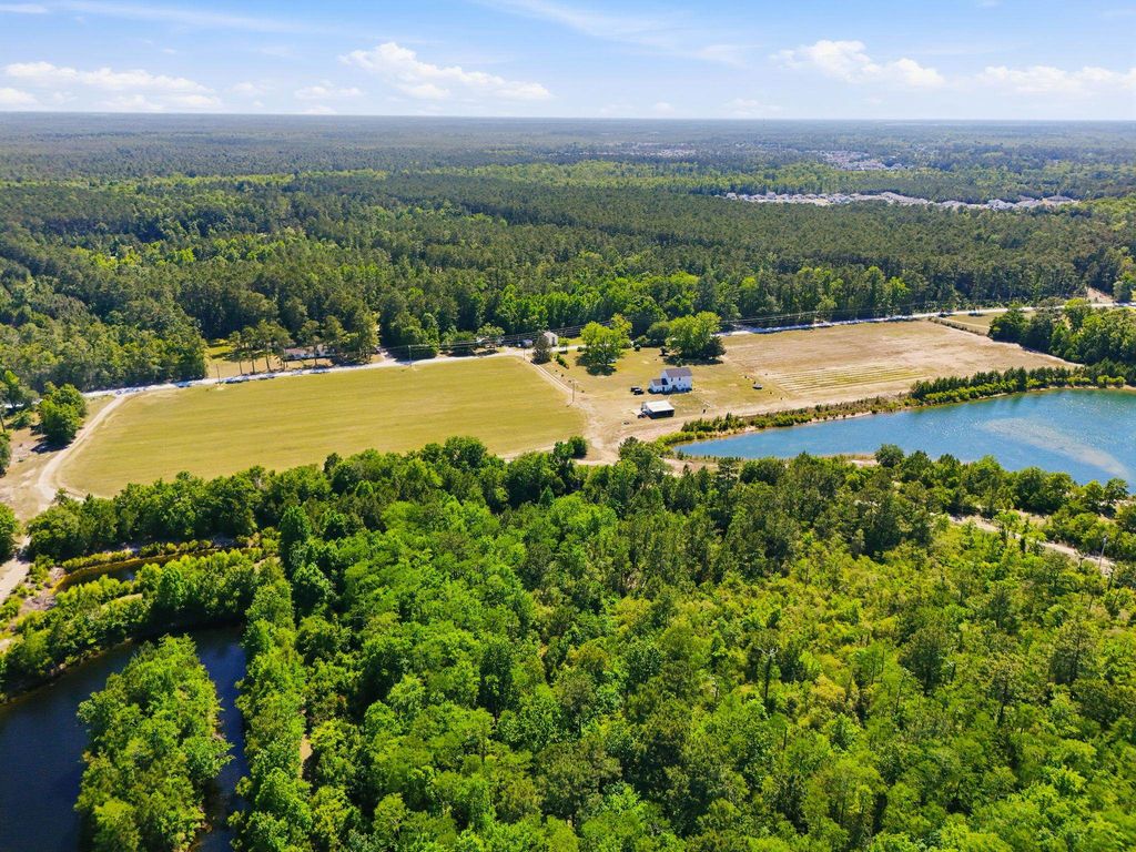 101 Acres Old Highway 90, Conway, SC 29526 — photo 5