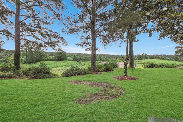 14207 Audubon Trace, St Francisville, LA 70775