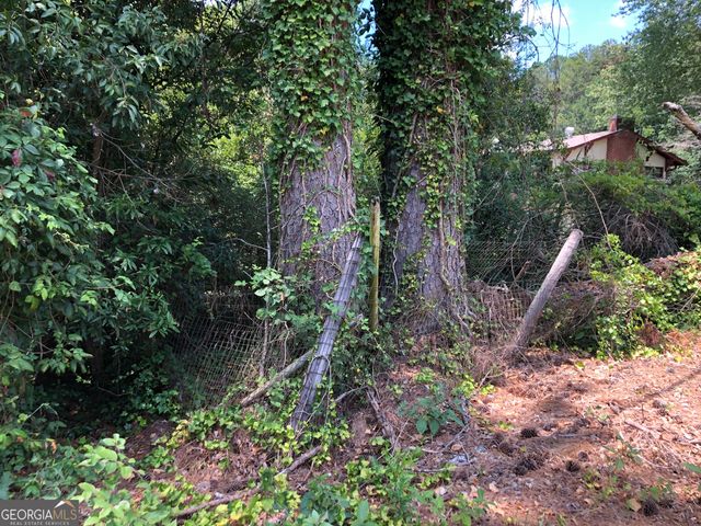 1222 E Tugalo St, Toccoa, GA 30577