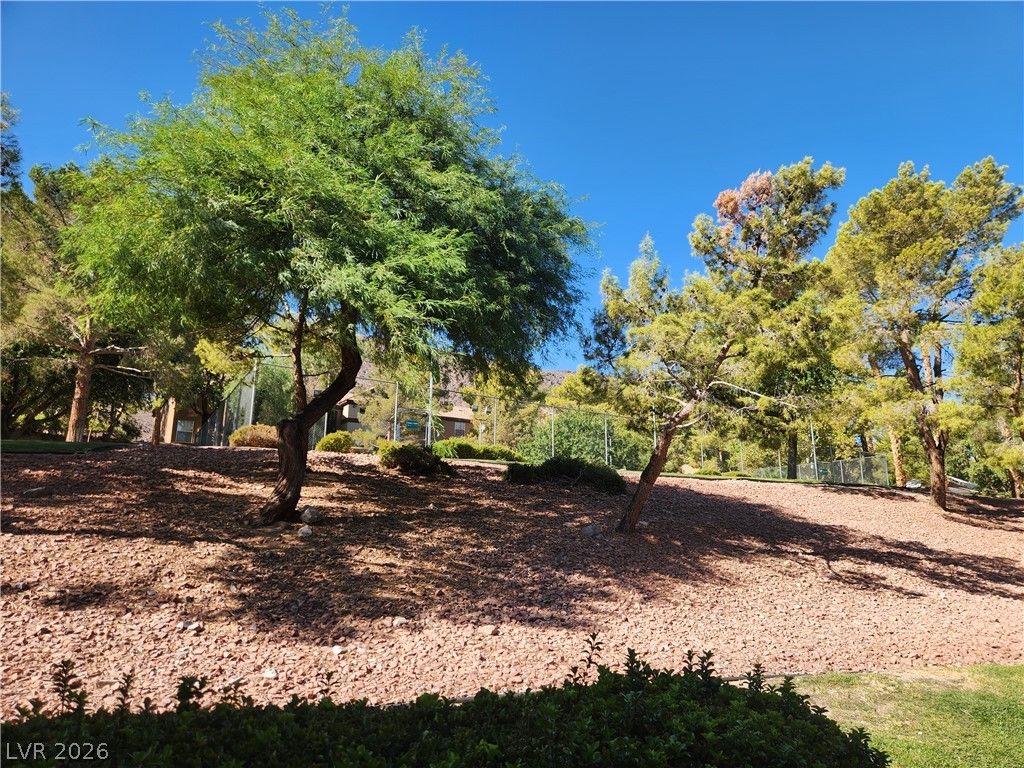 231 West Horizon Ridge Parkway 924, Henderson, NV 89012 — photo 4